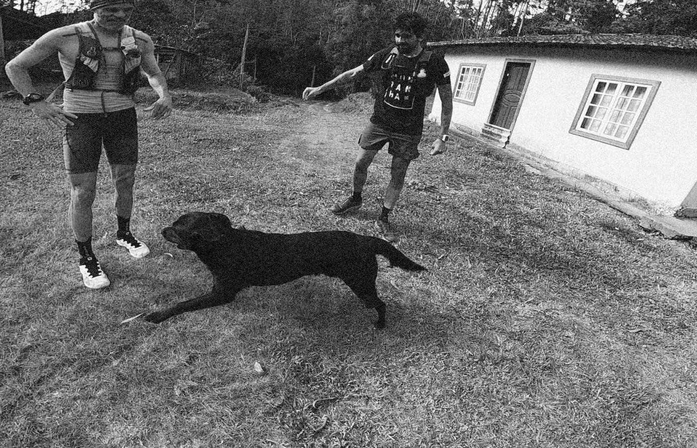 O cachorro avançou na trilha. Você corre ou para?