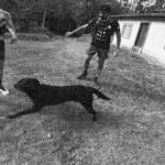 O cachorro avançou na trilha. Você corre ou para?
